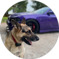 Profile photo of Oscar Ponce