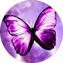 Profile photo of Rockie Lennox