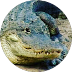 Profile photo of Minnie