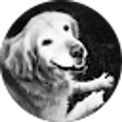Profile photo of Aundi Fabbi