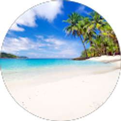 Profile photo of Stephanie Land