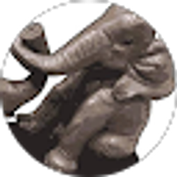 Profile photo of Zandra Eardley