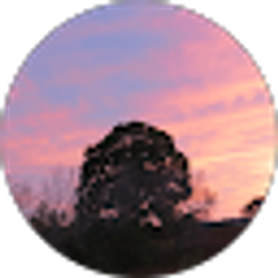Profile photo of Nichole Kyle
