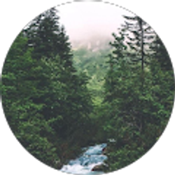 Profile photo of Mariah Adams