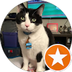 Profile photo of KEVIN CONNELLY