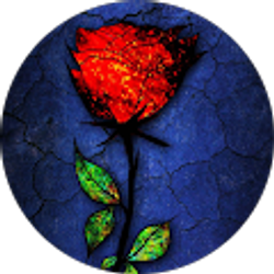 Profile photo of Ali Reza