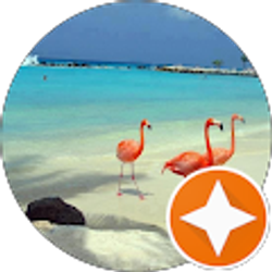 Profile photo of Lei Lei