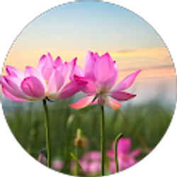 Profile photo of Ricksang Lama