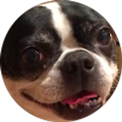 Profile photo of Jorge Fernandez