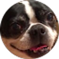 Profile photo of Jorge Fernandez