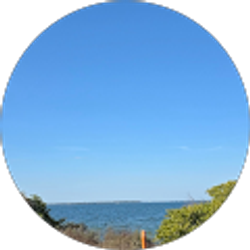 Profile photo of Anwar Rodriguez