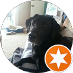 Profile photo of Jack