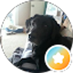 Profile photo of Jack