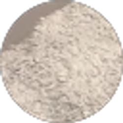 Profile photo of mathew dez