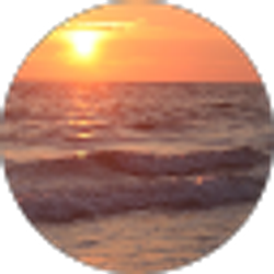 Profile photo of Steve Seabury
