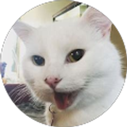 Profile photo of Donavin Davis