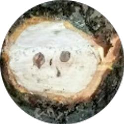 Profile photo of Ash Whole