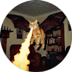 Profile photo of Aerrik Hovden