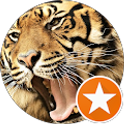 Profile photo of psyco Fink