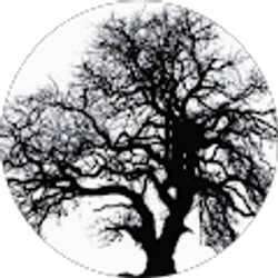 Profile photo of Sandy Mae