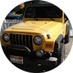 Profile photo of red monkey