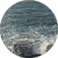 Profile photo of Melissa Barberich