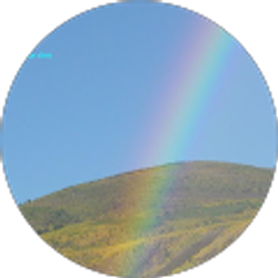 Profile photo of Michael Petock