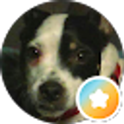 Profile photo of fay farrington