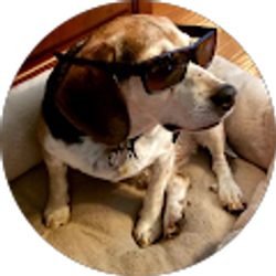 Profile photo of Kevin Haga