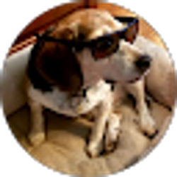 Profile photo of Kevin Haga