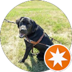 Profile photo of Michael Burby