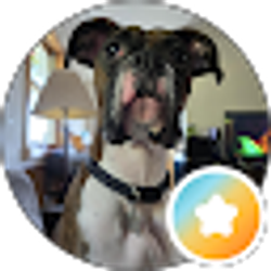 Profile photo of Keith Johnson