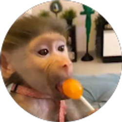 Profile photo of Dominic A