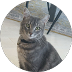 Profile photo of Dan T