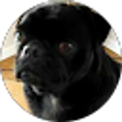 Profile photo of Andreas Shaw