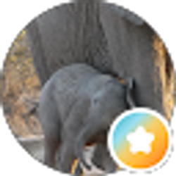 Profile photo of Silvia U