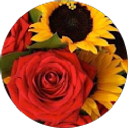 Profile photo of Emma Middleton