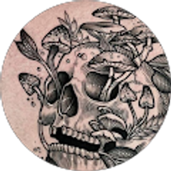 Profile photo of Olivia (Liv)