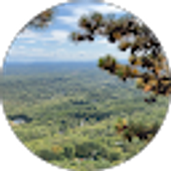 Profile photo of jack craig