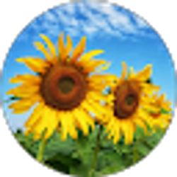 Profile photo of Tiffany Weck