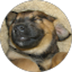 Profile photo of Brian Burgoyne