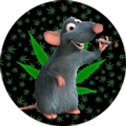 Profile photo of Kasia Opyd