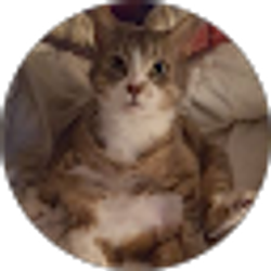 Profile photo of Cheryl LeBlanc