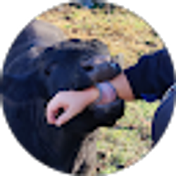 Profile photo of Katrina Shrader