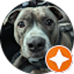 Profile photo of David Shoemaker