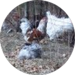 Profile photo of sara rud