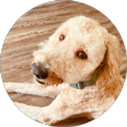 Profile photo of Surethia Wimberly