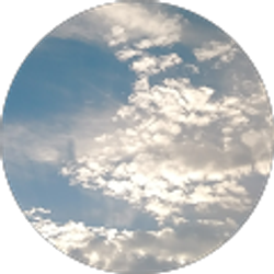 Profile photo of Waiting for Sunshine