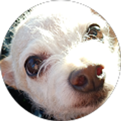 Profile photo of Anne Eddy