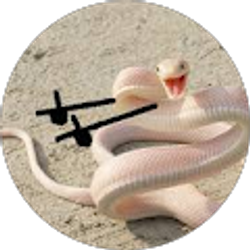 Profile photo of Li Lin